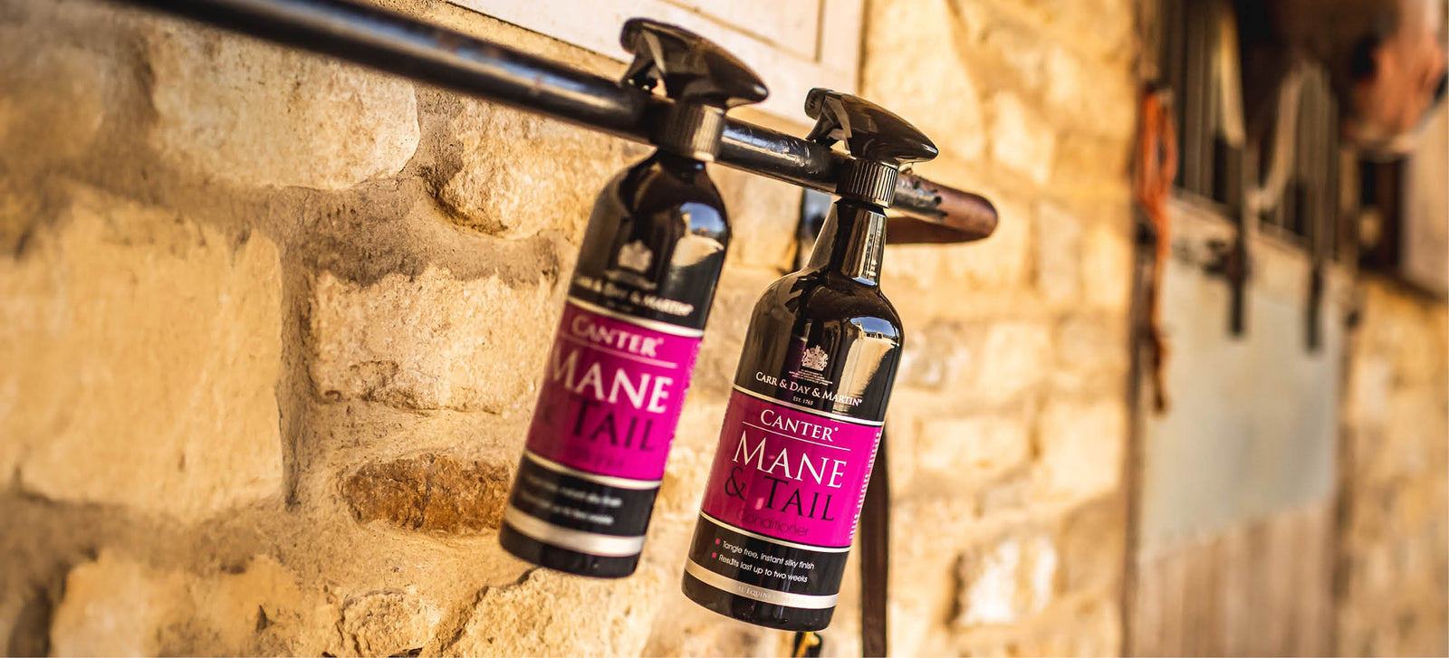 Il duo perfetto: Carr & Day & Martin Mane & Tail & Dream Coat
