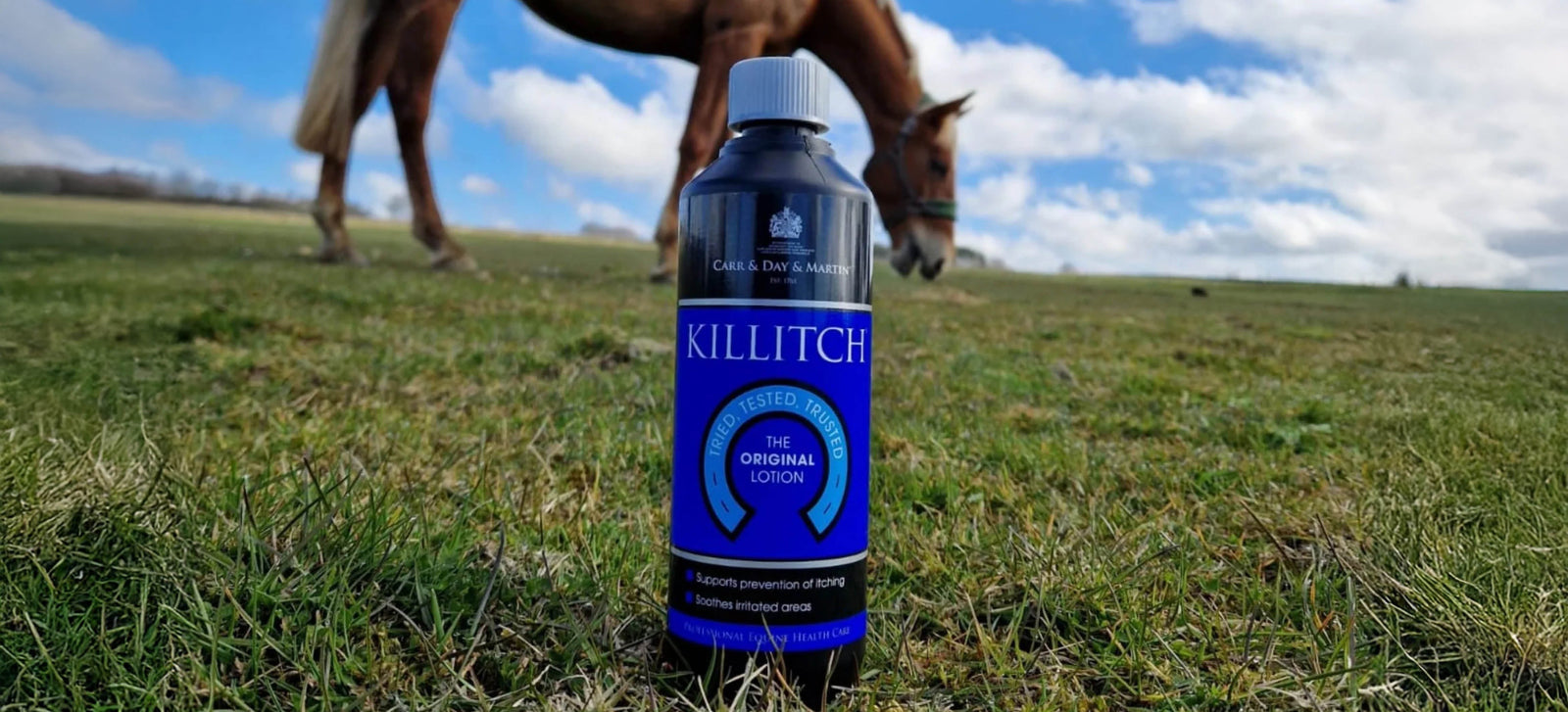 Killitch e altre soluzioni contro il prurito nei cavalli