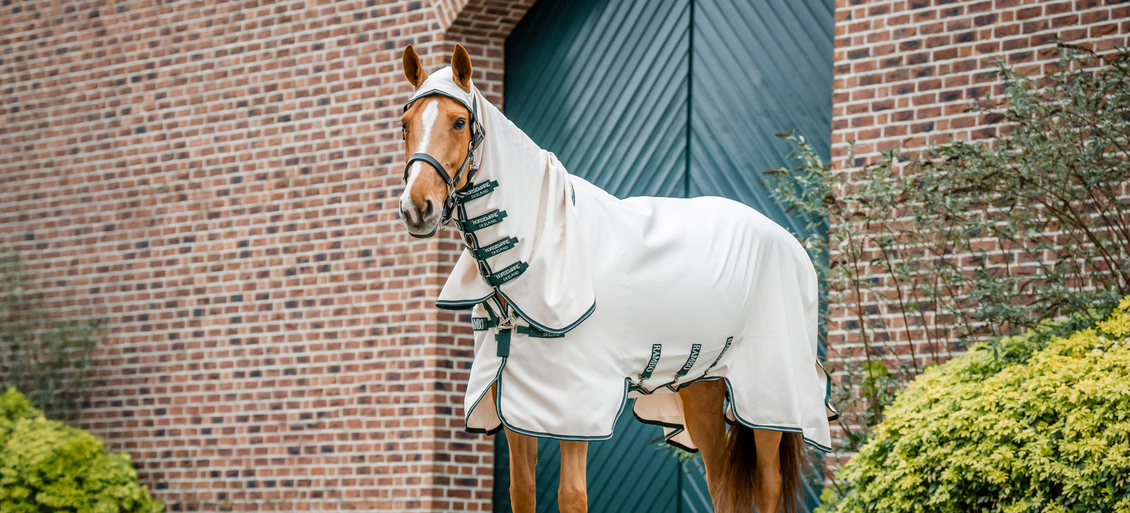 Coperta per l’eczema: come scegliere quella giusta per il tuo cavallo
