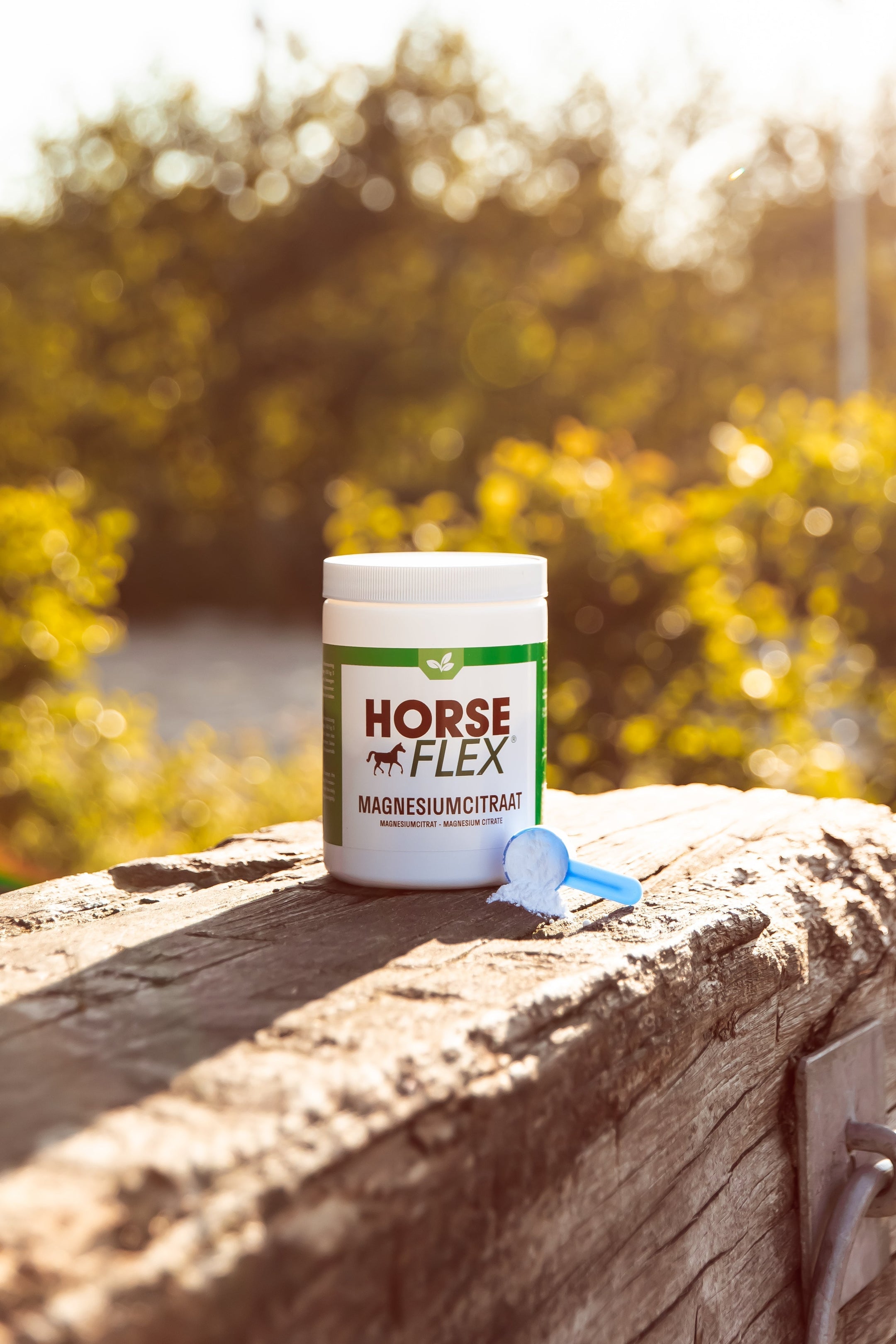 L'importanza del magnesio per il tuo cavallo