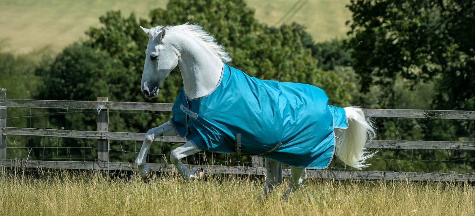 Come mantenere al meglio una coperta per cavalli?