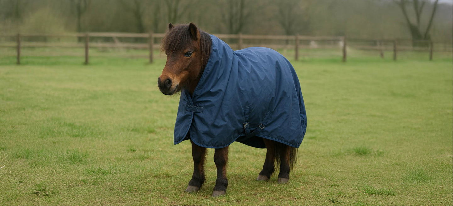 Come trovare la giusta misura di coperta per il tuo cavallo?
