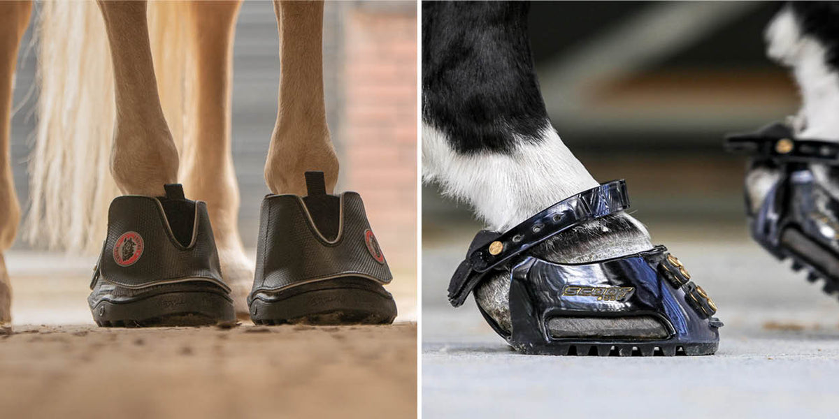 Tutto quello che devi sapere sugli stivali per zoccoli