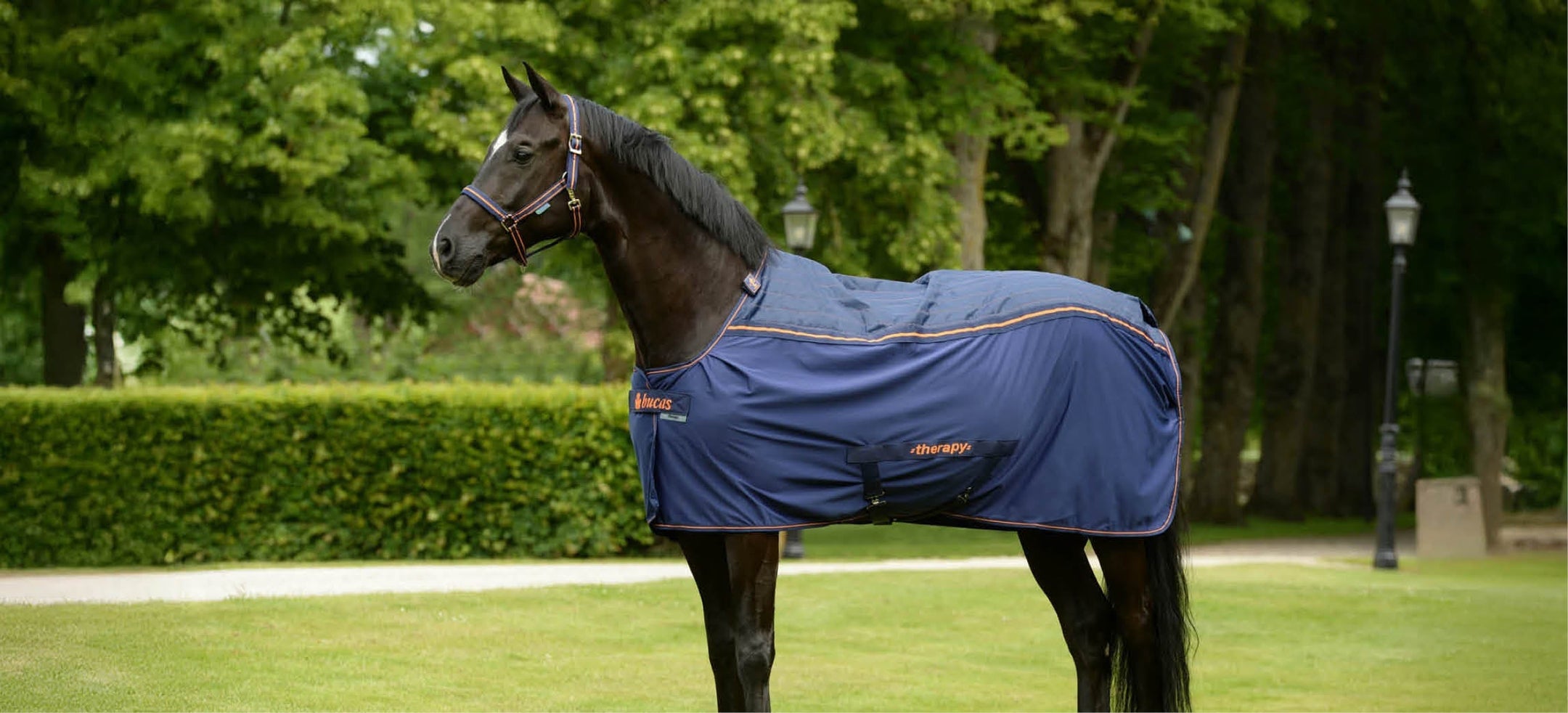 Must have: La coperta terapeutica