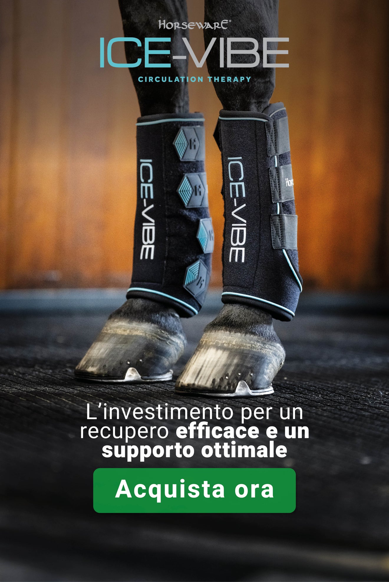 Horseware Ice-Vibe Horseware Ice-Vibe