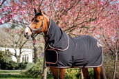 HB Coperta da esposizione Showtime Rose Gold con collo Nero HB Coperta da esposizione Showtime Rose Gold con collo Nero