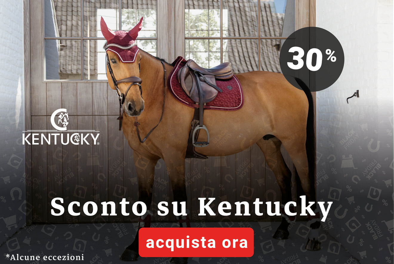 Black Friday Kentucky Black Friday Kentucky