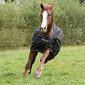 Bucas Irish Turnout 150g Nero/Oro Bucas Irish Turnout 150g Nero/Oro