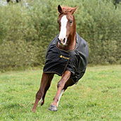 Bucas Irish Turnout Light 0g Nero/Oro Bucas Irish Turnout Light 0g Nero/Oro