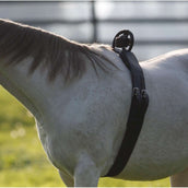 Birth Alarm Anti-Rolsingel Birth Alarm Anti-Rolsingel