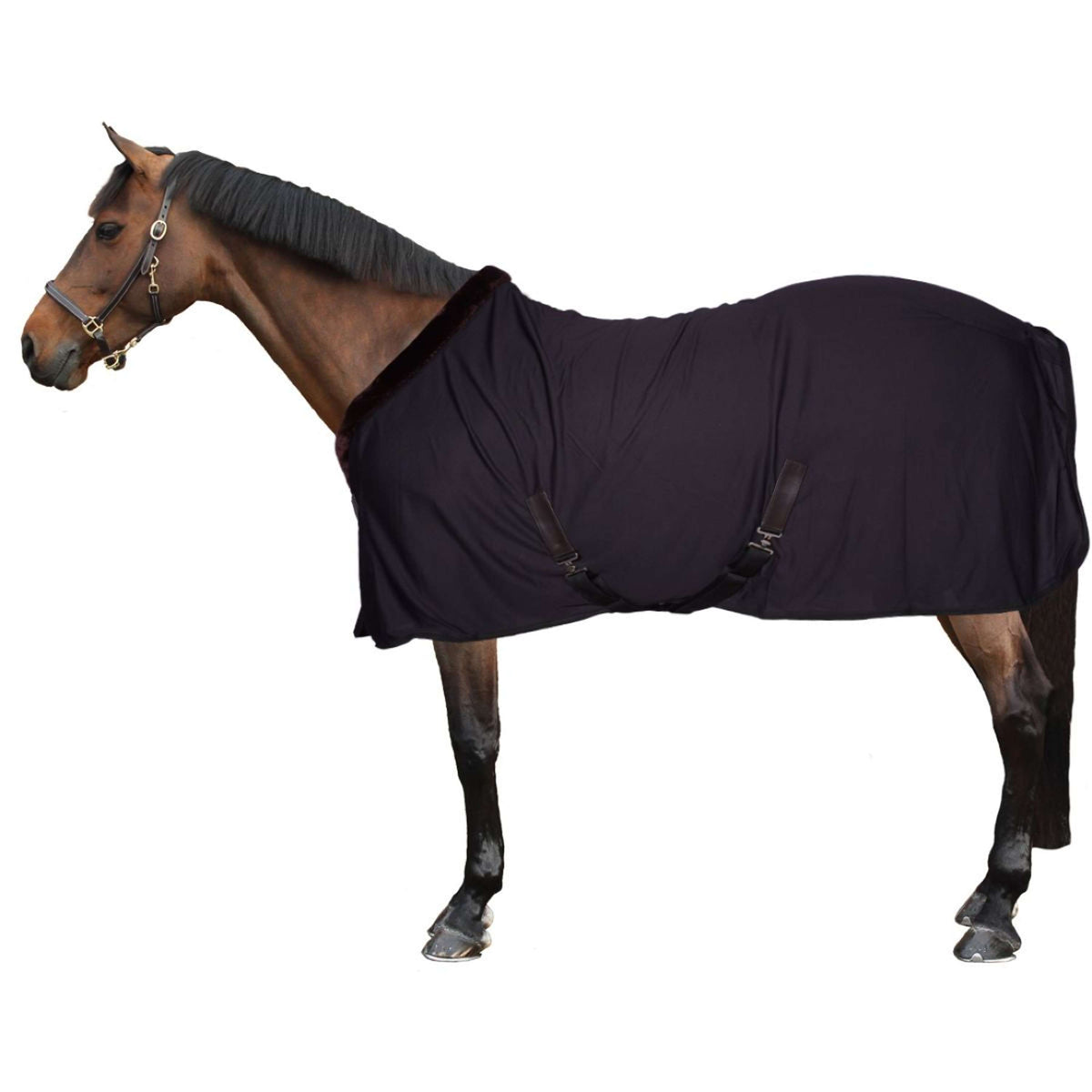 EQUITHÈME Cooler Teddy Nero/Marrone EQUITHÈME Cooler Teddy Nero/Marrone