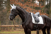 Showtime Sottosella Spring Dressage Argento Showtime Sottosella Spring Dressage Argento