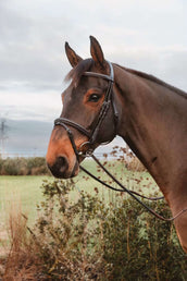 Dyon Redini 1/2 7 Stops Chiusura ad anello Marrone Dyon Redini 1/2 7 Stops Chiusura ad anello Marrone