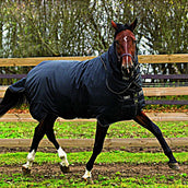 Horseware Trot Plus Heavy Nero abbronzato Horseware Trot Plus Heavy Nero abbronzato