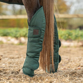 Agradi Horse Protettori da trasporto 1200D Verde Agradi Horse Protettori da trasporto 1200D Verde