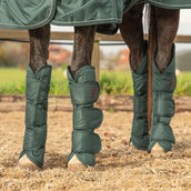 Agradi Horse Protettori da trasporto 1200D Verde Agradi Horse Protettori da trasporto 1200D Verde