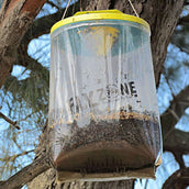 Insective Fly Bag XL Insective Fly Bag XL