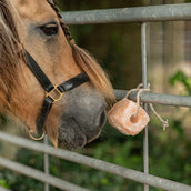 Agradi Health Pietra da Leccare Himalaya Agradi Health Pietra da Leccare Himalaya