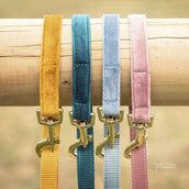 Kentucky Dogwear Guinzaglio per Cane Velvet Smeraldo Kentucky Dogwear Guinzaglio per Cane Velvet Smeraldo