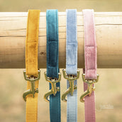 Kentucky Dogwear Guinzaglio per Cane Velvet Old Rose Kentucky Dogwear Guinzaglio per Cane Velvet Old Rose