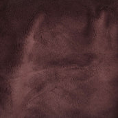 Kentucky Horsewear Coperta da esercizio Per tutte le stagioni 160 g Navy Kentucky Horsewear Coperta da esercizio Per tutte le stagioni 160 g Navy