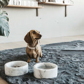 Kentucky Dogwear Halsband Lana Beige Kentucky Dogwear Halsband Lana Beige