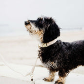 Kentucky Dogwear Halsband Lana Beige Kentucky Dogwear Halsband Lana Beige