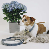 Kentucky Dogwear Halsband Velvet Azzurro Kentucky Dogwear Halsband Velvet Azzurro