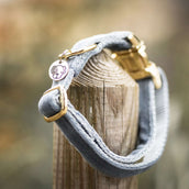 Kentucky Dogwear Halsband Velvet Azzurro Kentucky Dogwear Halsband Velvet Azzurro