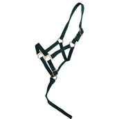 Norton Cavezza per puledro Verde scuro Norton Cavezza per puledro Verde scuro