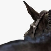 PS of Sweden Briglia Helsinki Marrone PS of Sweden Briglia Helsinki Marrone