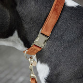 Kentucky Dogwear Halsband Velvet Arancia Kentucky Dogwear Halsband Velvet Arancia
