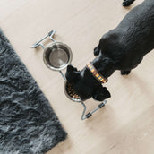 Kentucky Dogwear Halsband Handmade Pearls Pure Orange Kentucky Dogwear Halsband Handmade Pearls Pure Orange