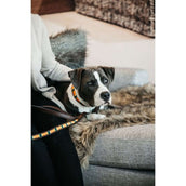 Kentucky Dogwear Halsband Handmade Pearls Pure Orange Kentucky Dogwear Halsband Handmade Pearls Pure Orange