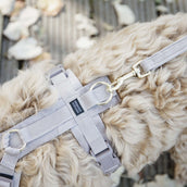 Kentucky Dogwear Guinzaglio per Cane Velvet Beige Kentucky Dogwear Guinzaglio per Cane Velvet Beige