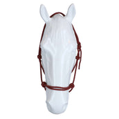 F.R.A. Capestro di addestramento Babia Ruchi Collection Verde/Rosso F.R.A. Capestro di addestramento Babia Ruchi Collection Verde/Rosso