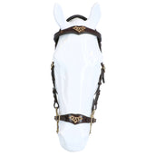 F.R.A. Hackamore Imperial L'Avana F.R.A. Hackamore Imperial L'Avana