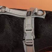 Kentucky Dogwear Imbracatura Active Reflective Grigio Kentucky Dogwear Imbracatura Active Reflective Grigio