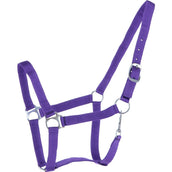 HKM Capezzina Brisbane Lilla HKM Capezzina Brisbane Lilla