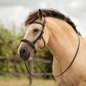 F.R.A. Briglia Runa 3 in 1 L'Avana F.R.A. Briglia Runa 3 in 1 L'Avana