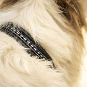 Pénélope Collare per Cane Point Sellier Nero Pénélope Collare per Cane Point Sellier Nero