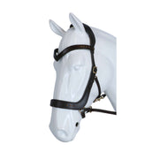 F.R.A. Briglia Glory Marrone F.R.A. Briglia Glory Marrone