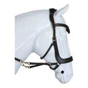 F.R.A. Briglia Glory Marrone F.R.A. Briglia Glory Marrone