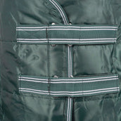 Waldhausen Coperta da scuderia Economic Verde abete rosso Waldhausen Coperta da scuderia Economic Verde abete rosso