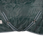 Waldhausen Coperta da scuderia Economic Verde abete rosso Waldhausen Coperta da scuderia Economic Verde abete rosso