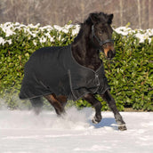 Waldhausen Tappeto da Esterno Nordic 300g Nero Waldhausen Tappeto da Esterno Nordic 300g Nero