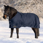 Waldhausen Tappeto da Esterno Nordic 100g Blu notte Waldhausen Tappeto da Esterno Nordic 100g Blu notte