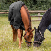 Waldhausen Tappeto da Esterno Nordic 100g Nero Waldhausen Tappeto da Esterno Nordic 100g Nero