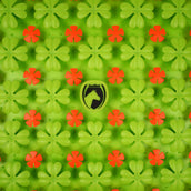 Excellent Tappeto Olfattivo Horse Excellent Tappeto Olfattivo Horse