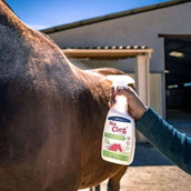 NoCleg Spray NoCleg Spray